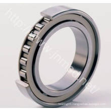 Bearing Factory Dirctly Slae Cylindrical Roller Bearing (NJ217E)